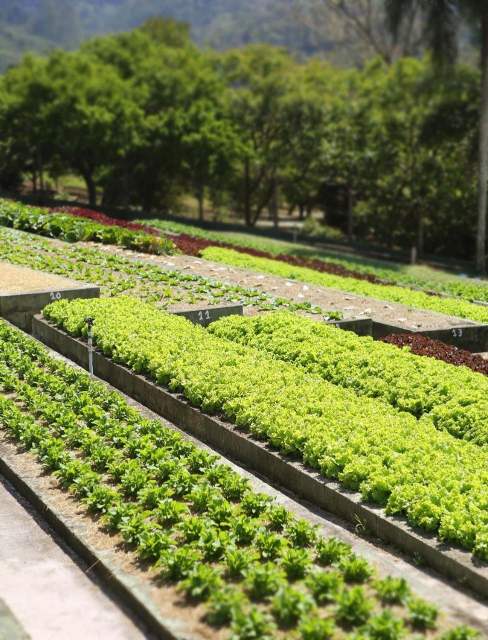 Unique Garden 渡假村 Mairipora