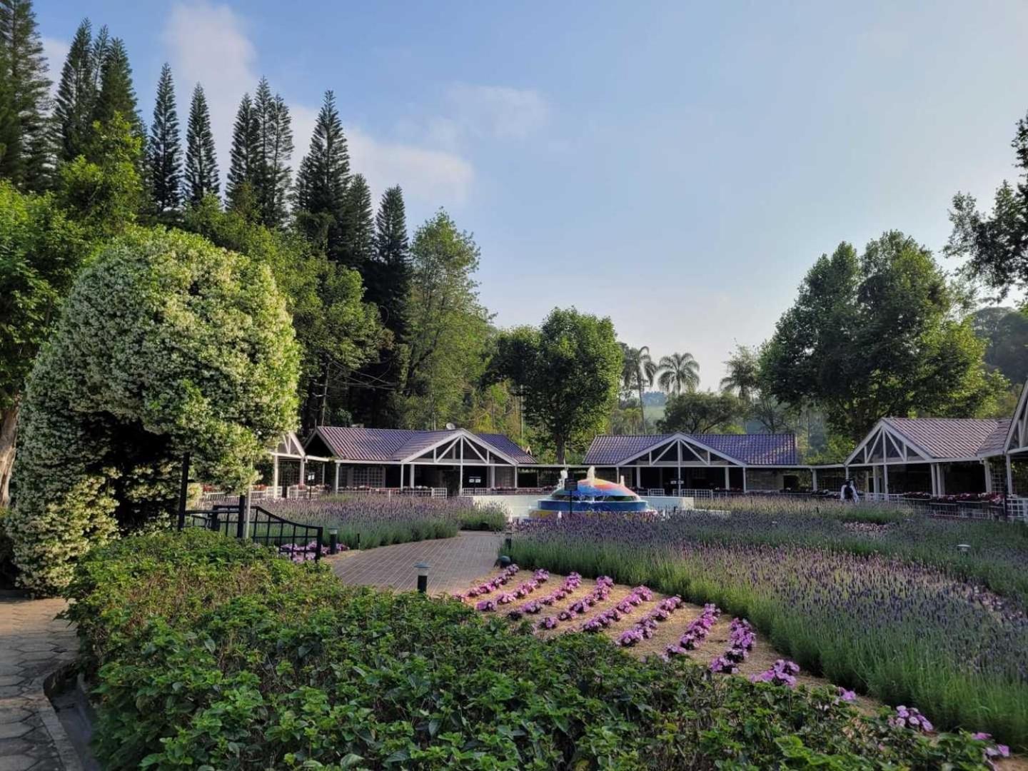 Unique Garden